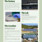 Portfolio Webdesign Amsterdam Flowerpower